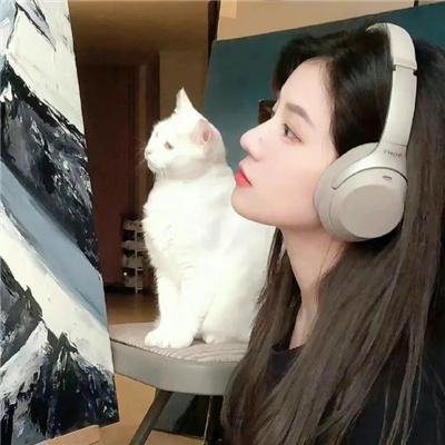 国之语音 在线观看封面