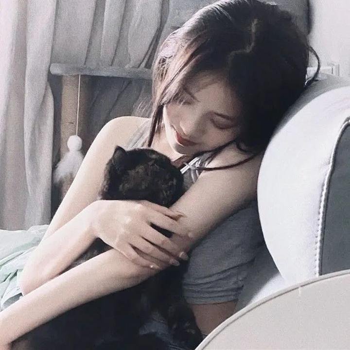 虚假教会 在线观看封面